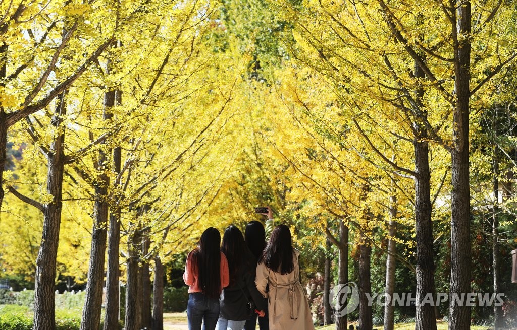 가을 이미지