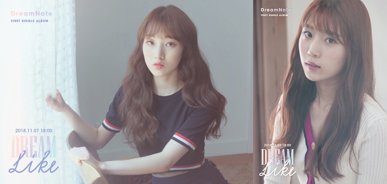드림라이크 이미지