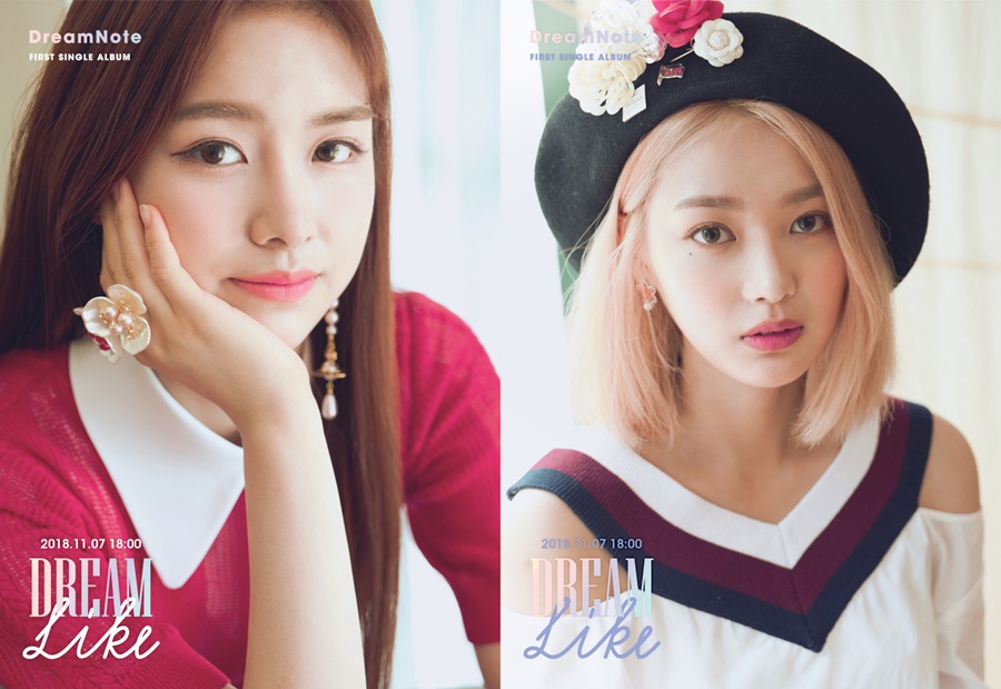 드림라이크 이미지