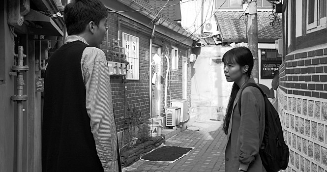 풀잎 이미지