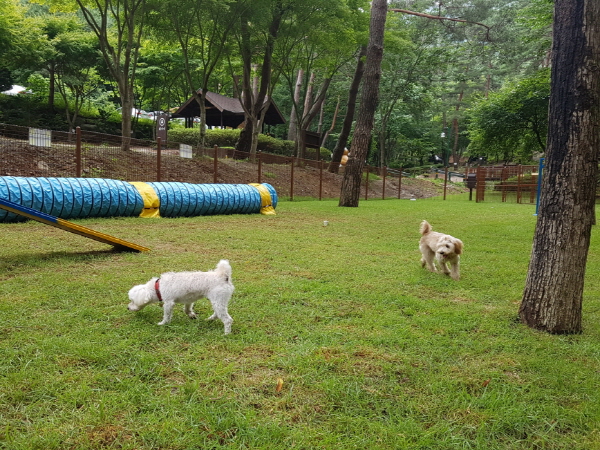 국립자연휴양림관리소(산음자연휴양림) 이미지