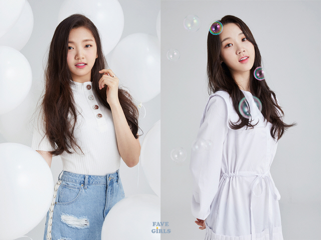페이브 이미지