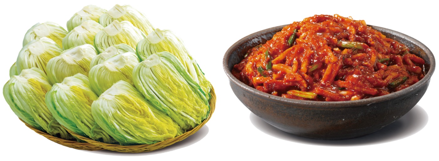 김치 이미지