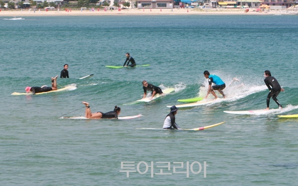 양양 이미지