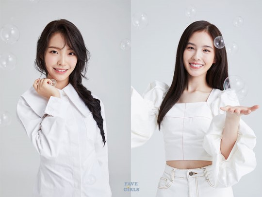 페이브 이미지