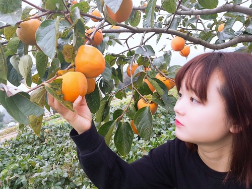 대봉유통 이미지