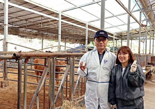 유라이크 이미지