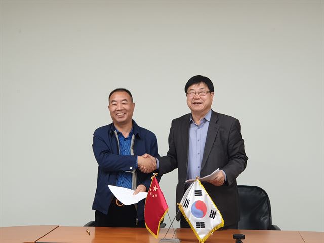 당조 이미지