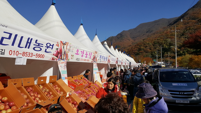 얼음골사과 이미지