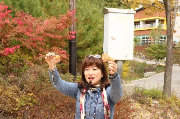 에코미디어 이미지