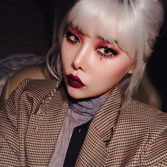 치타 이미지