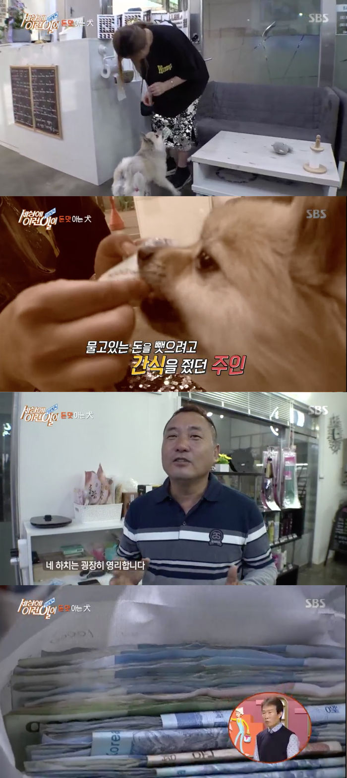 김효정미용실 이미지