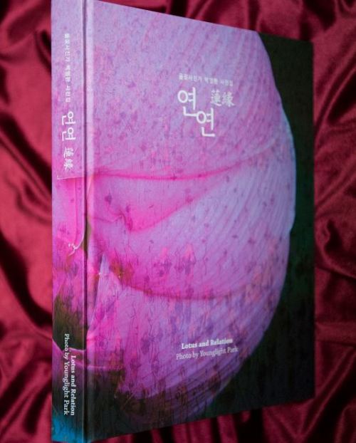 사진집 이미지