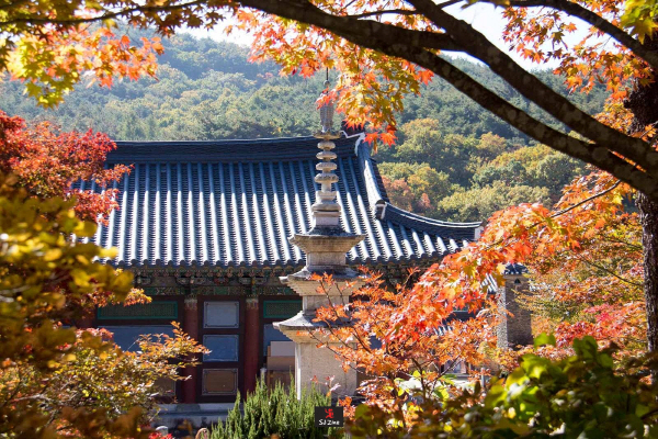 산사로 이미지