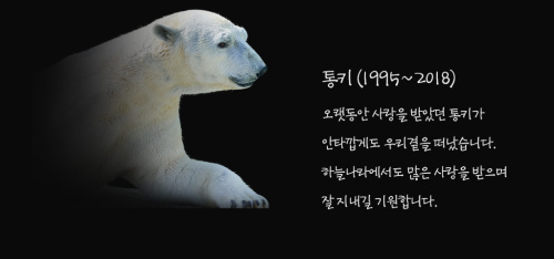 교육목적 교육목적