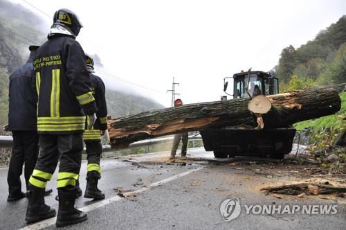 이탈리아 북부 릴리안느에서 소방대원들이 1일(현지시간) 강풍에 쓰러진 나무를 치우고 있다.