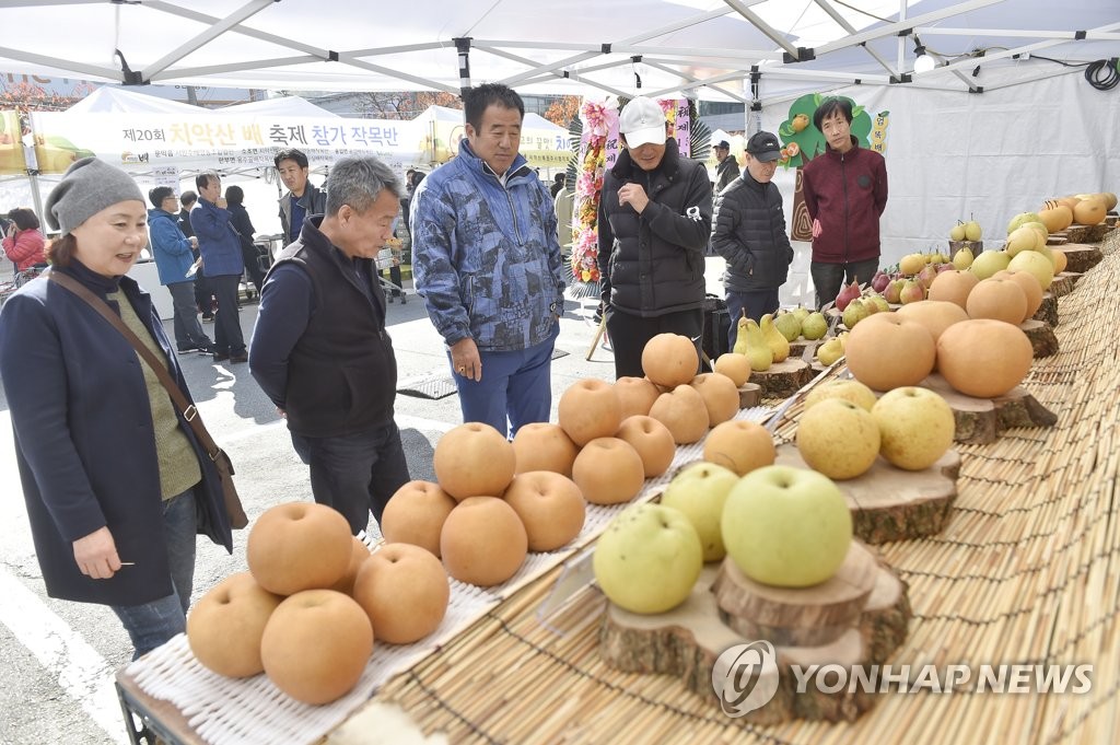 원주원예농협하나로클럽 이미지