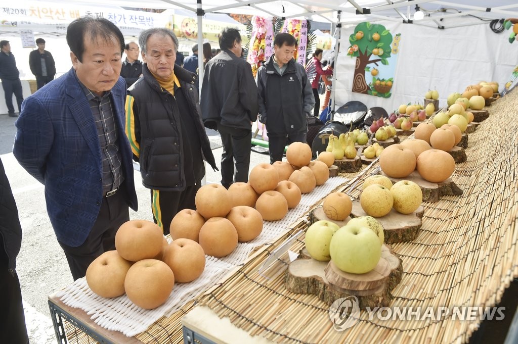 원주원예농협하나로클럽 이미지