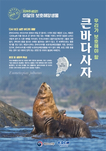 통큰바다 이미지