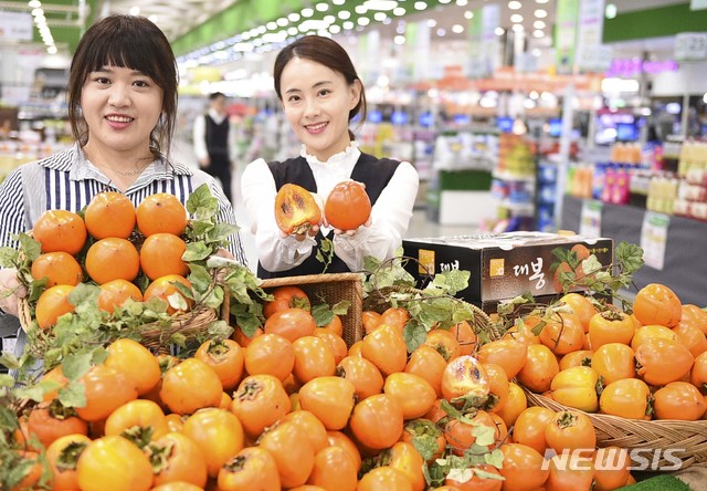 영암농협하나로마트 이미지