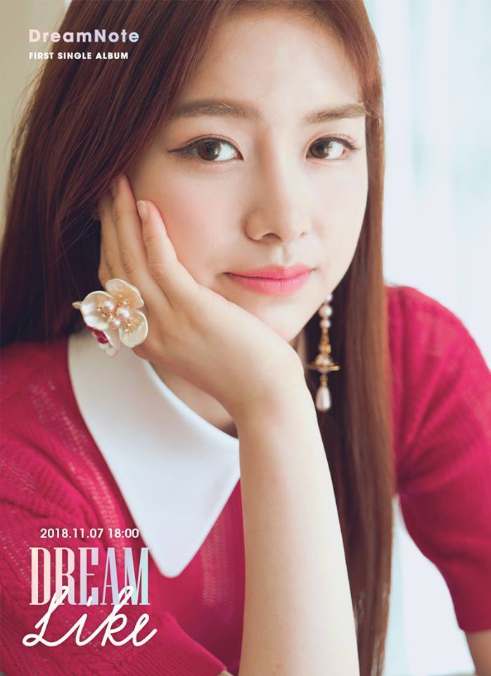 드림라이크 이미지