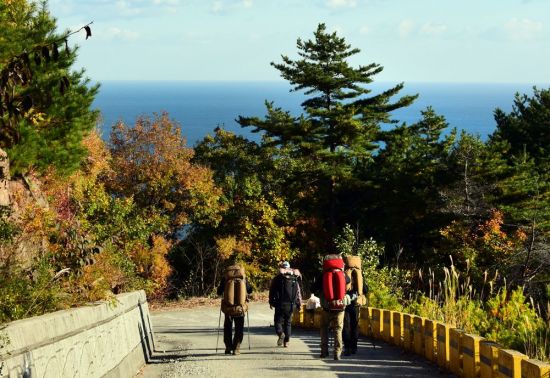 괘방산을 걷고 있는 산행객들