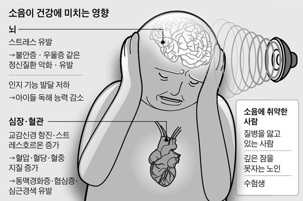 소음이 건강에 미치는 영향./사진=헬스조선 DB