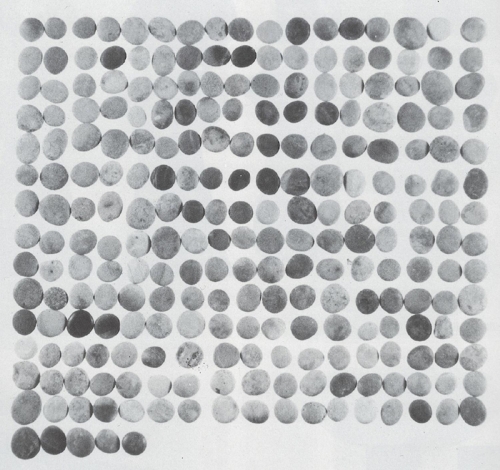 황남대총 남분에서 나온 바둑돌. [국립경주문화재연구소 제공]