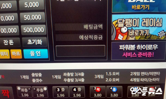 대한 레슬링 협회 1조원 불법 토토. 전 현직 지도자들이 운영 | 인스티즈