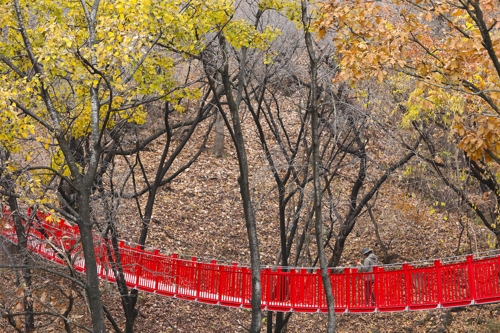 멋다리 이미지