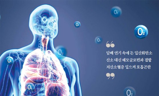 산소로 이미지