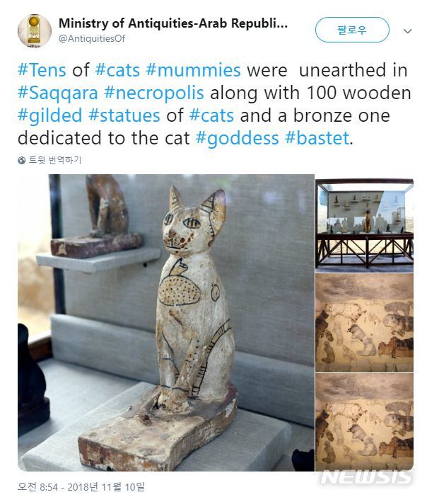 바스테트(Bastet) 이미지