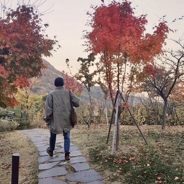 Leader RM of group BTS found Yun Dong-ju Literary Museum.On the 11th, RM released a picture with the article Do not Go Fall through the official BTS Twitter Inc.In the photo, RM is enjoying the autumn by walking under the reddish Japanese maple.The place where RM in the photo stopped to see the maple leaves is Yun Dong-ju Literature Museum located in Seoul Jongno-gu.RM stopped by here before leaving for the world tour as Japan.The Yun Dong-ju Literary Museum is a memorial hall to honor the poet Yun Dong-ju, who was tortured to death in Japan six months before liberation.BTS will be on tour at Japan 4 domes including Osaka Kyocera Dome, Nagoya Dome and Fukuoka Yahoo Cudome starting from the Japan Tokyo Dome performance for two days starting from the 13th.(Composition: Lee Sun-young Editor, Photo = BTS Official Twitter Inc. and Instagram , Korea Tourism Organization)(Sbsta!