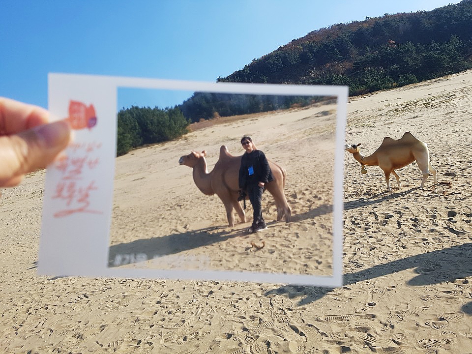 평화이발관 이미지