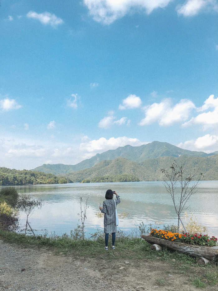 솔향기바다 이미지