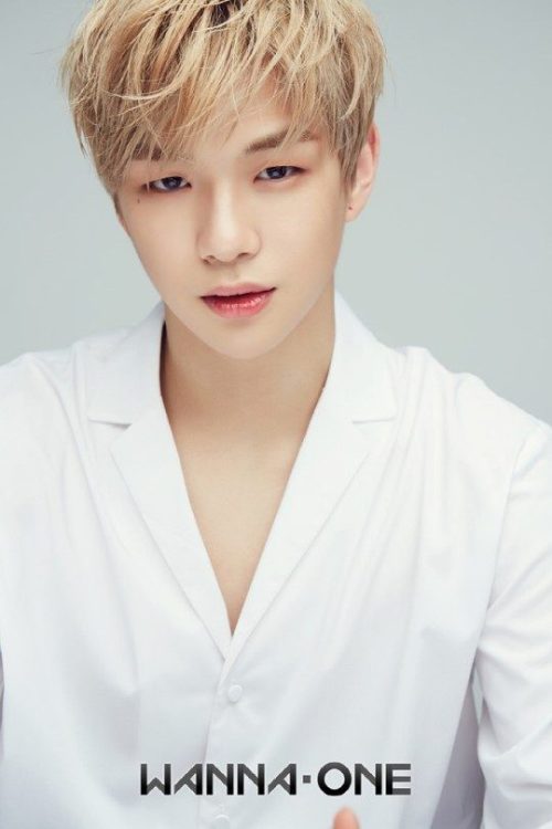 Kang Daniel of boy group Wanna One is the first place in the TV non-Drama cast topical categorytook the place.On the 15th, Good Data Corporation, a TV topic analysis agency, said that Kang Daniel, who appeared on TVNs Weekend Users Manual, which was broadcast on the 11th, was found to have the highest topicality among entertainers who appeared on non-Drama.Good Data Corporation is investigating the topic of all Major TV Channels, general installments and cable programs broadcast from the 5th (Mon) to the 11th (Sun).The degree of topicality is analyzed and calculated through online news, blog, community, SNS, and video views.In the non-Drama cast, Wanna Ones Kang Daniel is the first placeand recorded.Kang Daniel appeared as an invitation to Ra Mi-ran in the Weekend Use Manual broadcast on the day.Ra Mi-ran volunteered to be a fan of Kang Daniel, who eventually invited him to his home to serve the dish.Kang Daniel has told Ra Mi-ran about the troubles he had accumulated in his heart.I was glad at first that it was so good.However, after that, even if the number of music videos is a little lower, I can not sleep for three weeks. As a group center, I talked about my grievances as a member of the top group.Ra Mi-ran advised him to enjoy youth more freely, saying, It is not necessary to do that. It will be too hard to live with such thoughts from now on.The second place was Napla (Mnet Show Me the Money TripleSeven), the third was Lupe (Mnet Show Me the Money TripleSeven), and the fourth was Mamison (Mnet Show Me the Money TripleSeven).In fifth place was Ra Mi-ran, who appeared with Kang Daniel.In the case of the drama casts topicality, Lee Min-ki (JTBCs Beauty Inside), Seo Hyun-jin (JTBCs Beauty Inside), and Lee Som (JTBCs Third Charm) ranked first and third...Tell me about the Weekend manual
