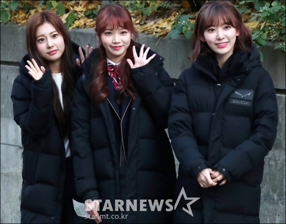 사쿠라 이미지