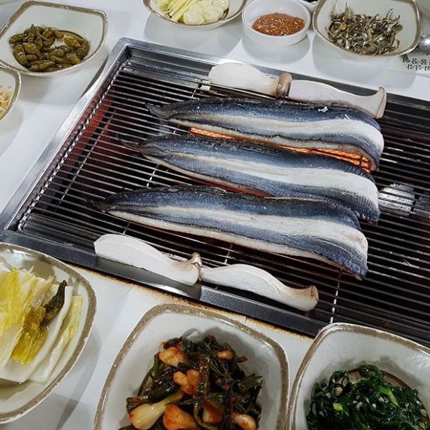 불끈민물장어 이미지
