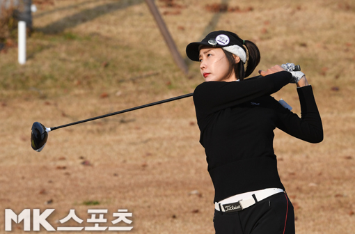 시넥스 이미지