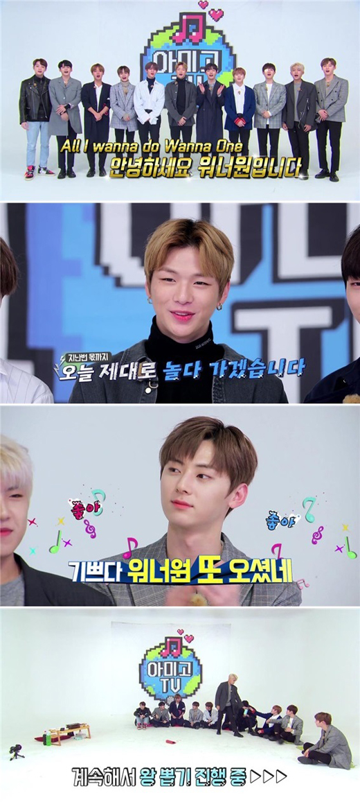 마이아미고 이미지