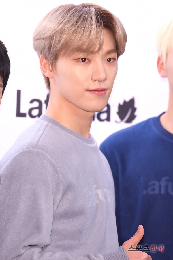 디노 이미지