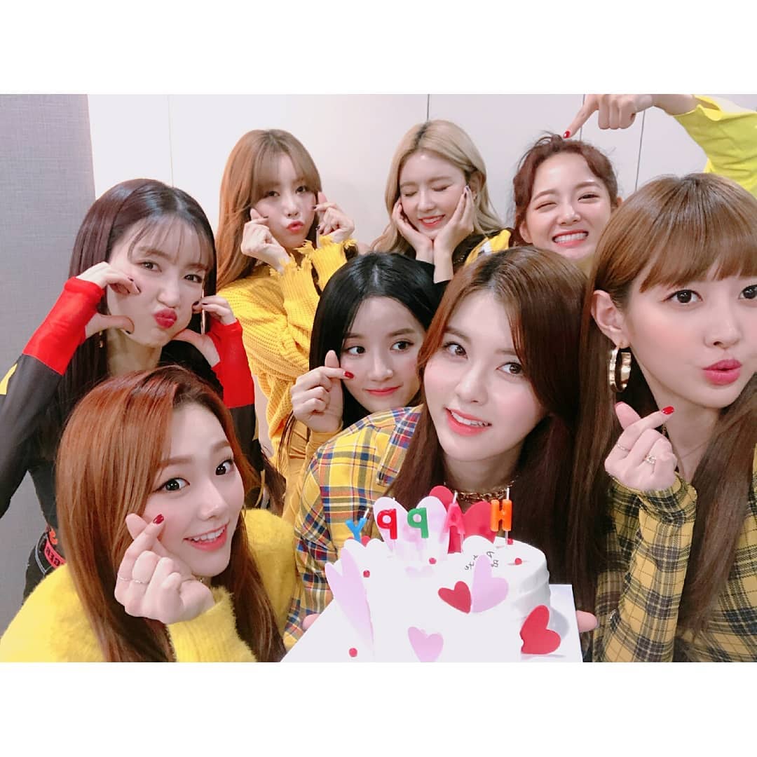 소이케이크 이미지