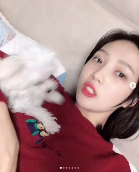 레드벨벳 조이, 주인 닮은 반려견과 여유로운 일상[SNS컷] | 인스티즈