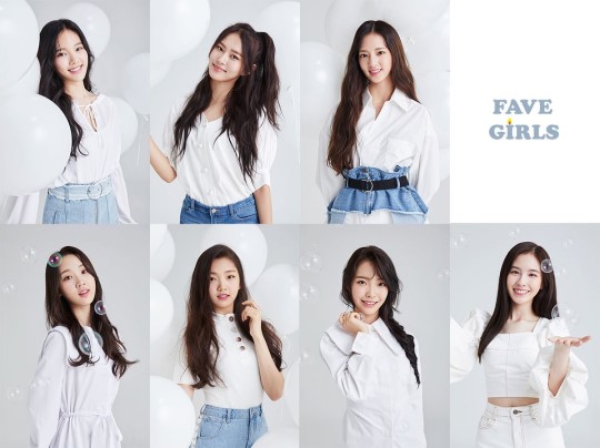 페이브 이미지