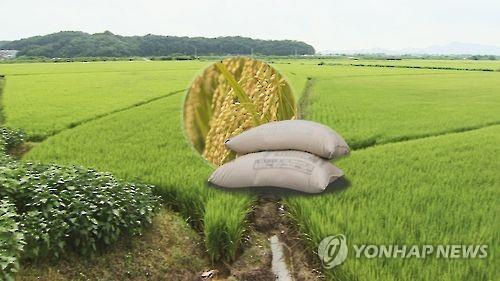 쌀 직불금 개편 [연합뉴스 자료 이미지]