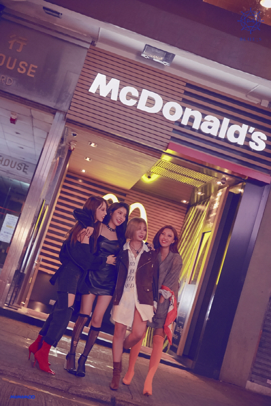 윈드플라워 이미지