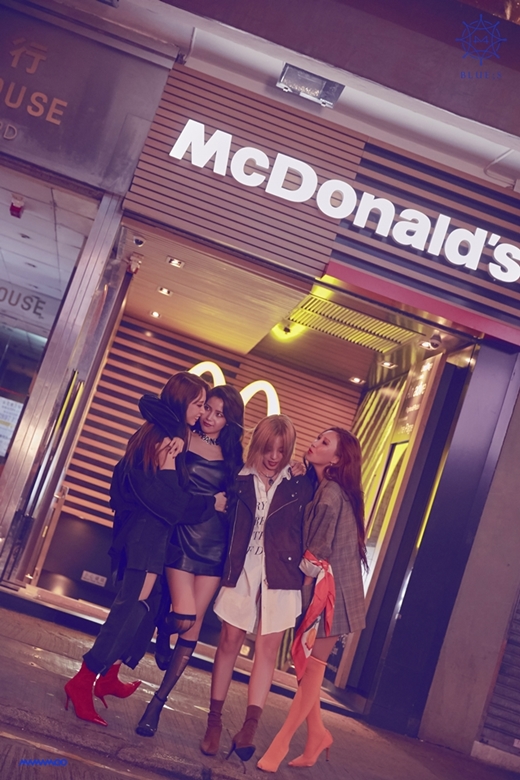 윈드플라워 이미지