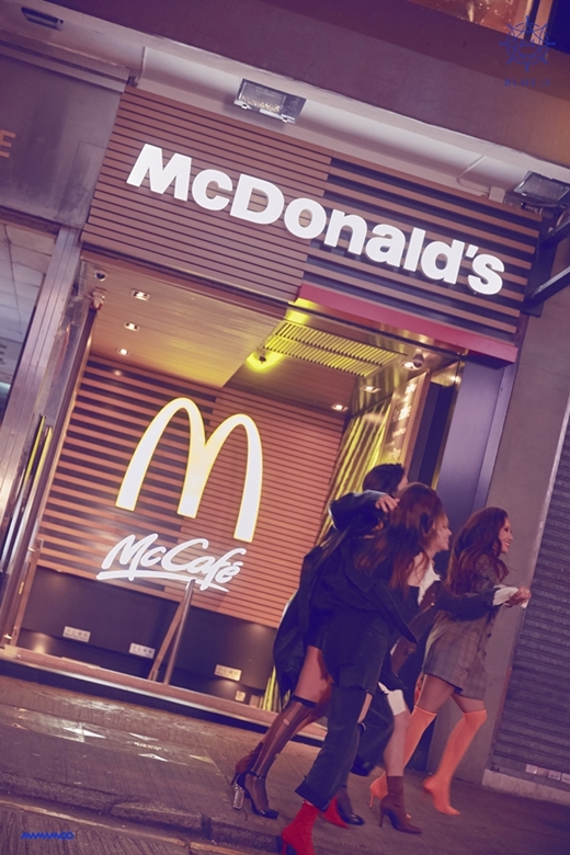 윈드플라워 이미지