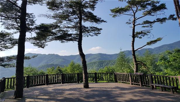 임도조망점 이미지