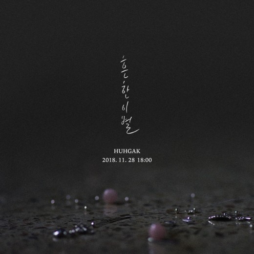 덤덤엔터테인먼트 이미지